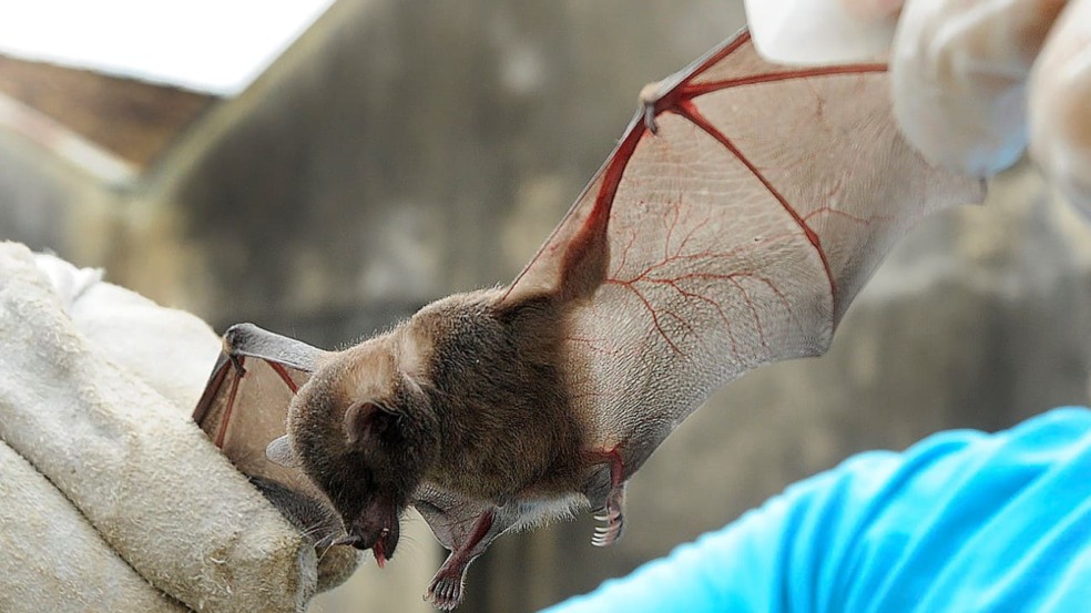 Foto: Prefeitura de Jundiaí