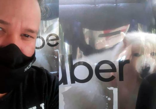 Uber adota cachorro. (Foto: Divulgação)