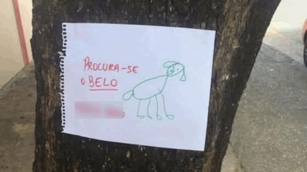 Foto: Divulgação/ Vida Que Importa