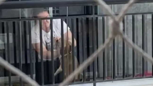 mulher-é-detida-por-agredir-animais-Jundiaí