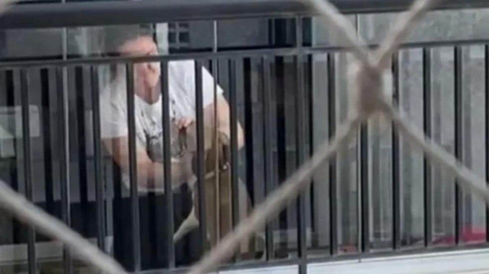 mulher-é-detida-por-agredir-animais-Jundiaí