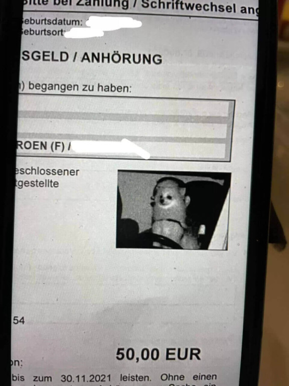 Foto em preto e branco de cachorro em carro