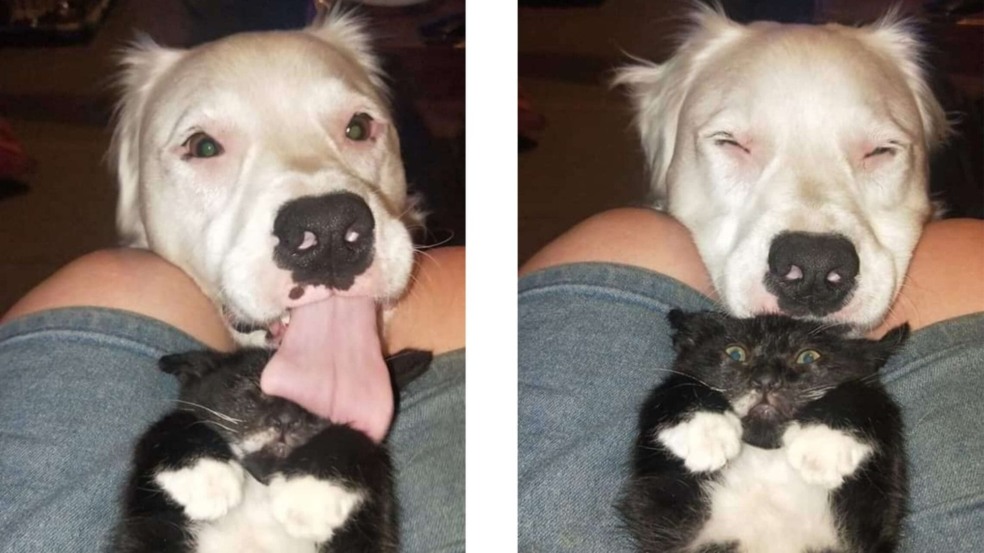 Foto: Sheryl Smith Foto: Sheryl Smith