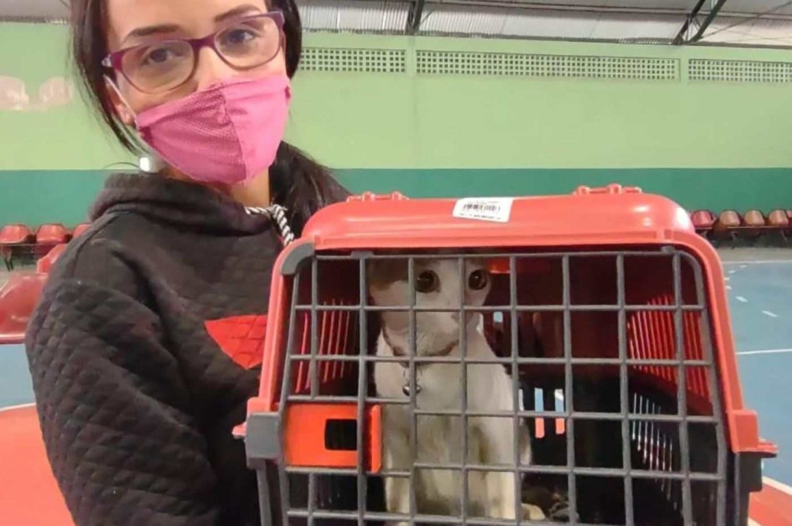 Foto: Prefeitura de Campo Limpo Paulista