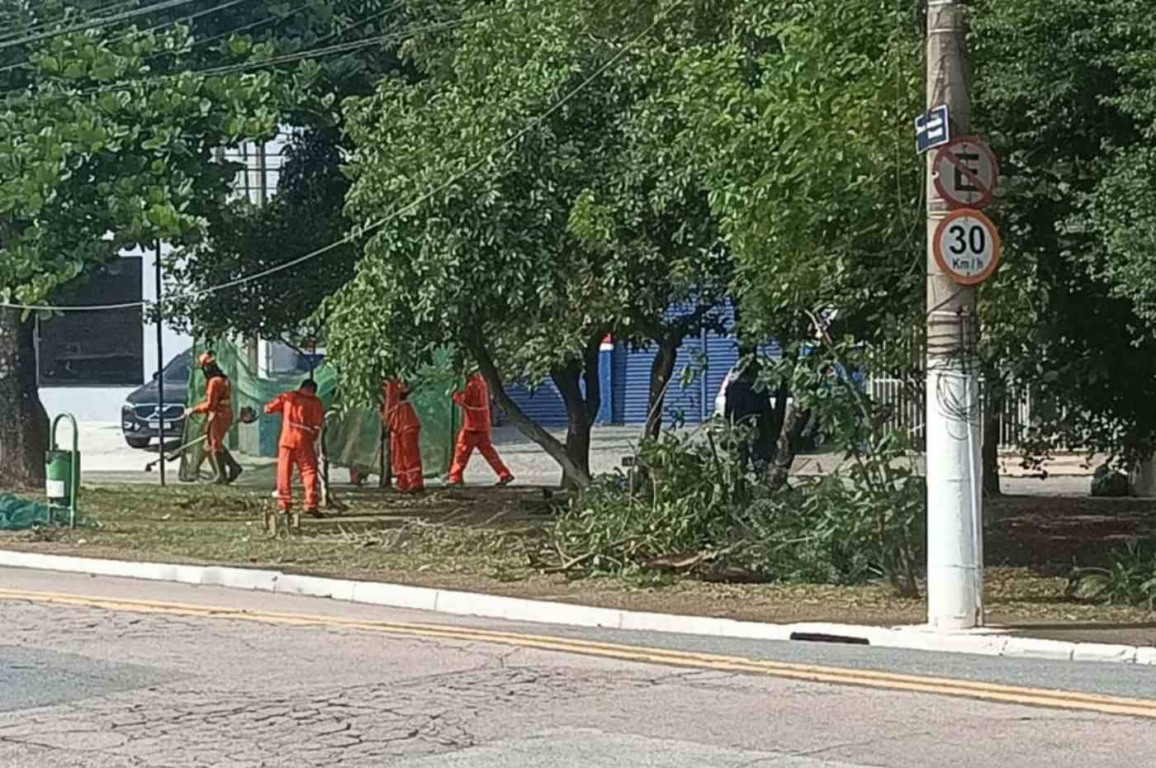 Equipes da Prefeitura realizam mutirão de zeladoria em Jundiaí, com limpeza e roçagem em área verde próxima à avenida.