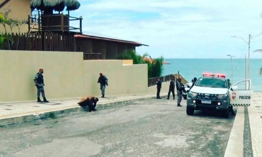 Roubo de vacina. (Foto: Divulgação)