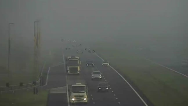 Rodovia com neblina intensa.