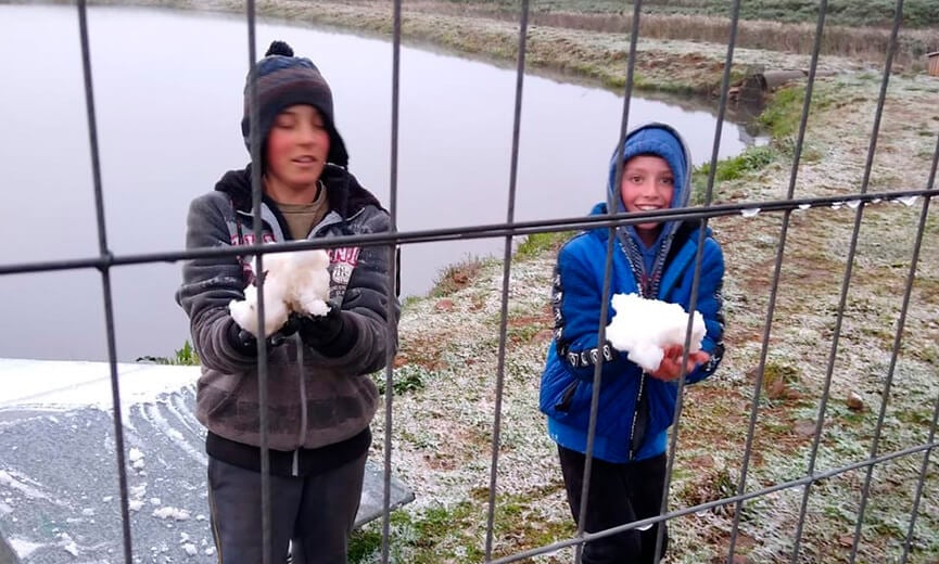 Neve no RS. Foto: Ester Braun Weiler/Arquivo Pessoal