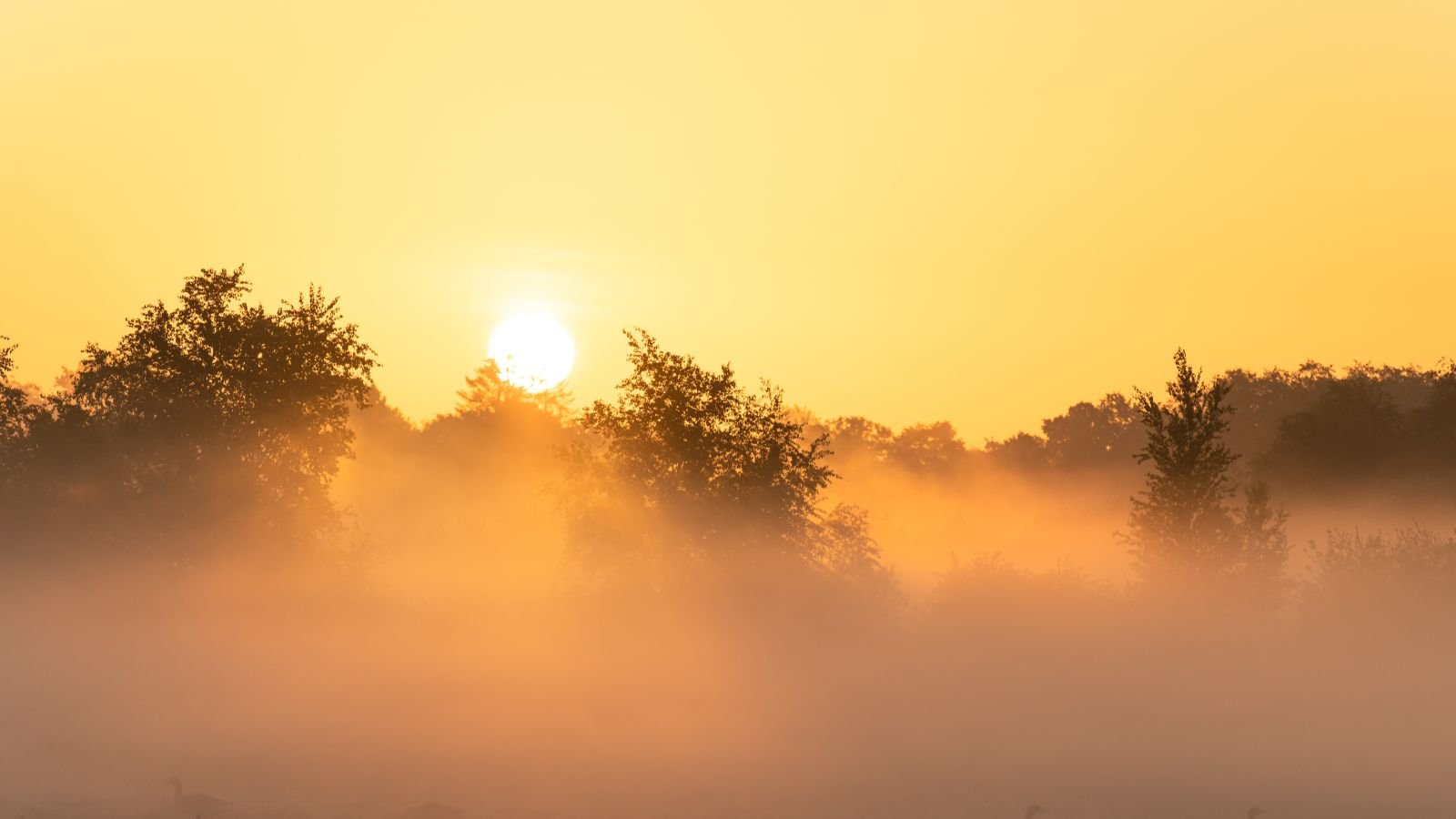 Previsão do tempo em Jundiaí aponta nevoeiro.