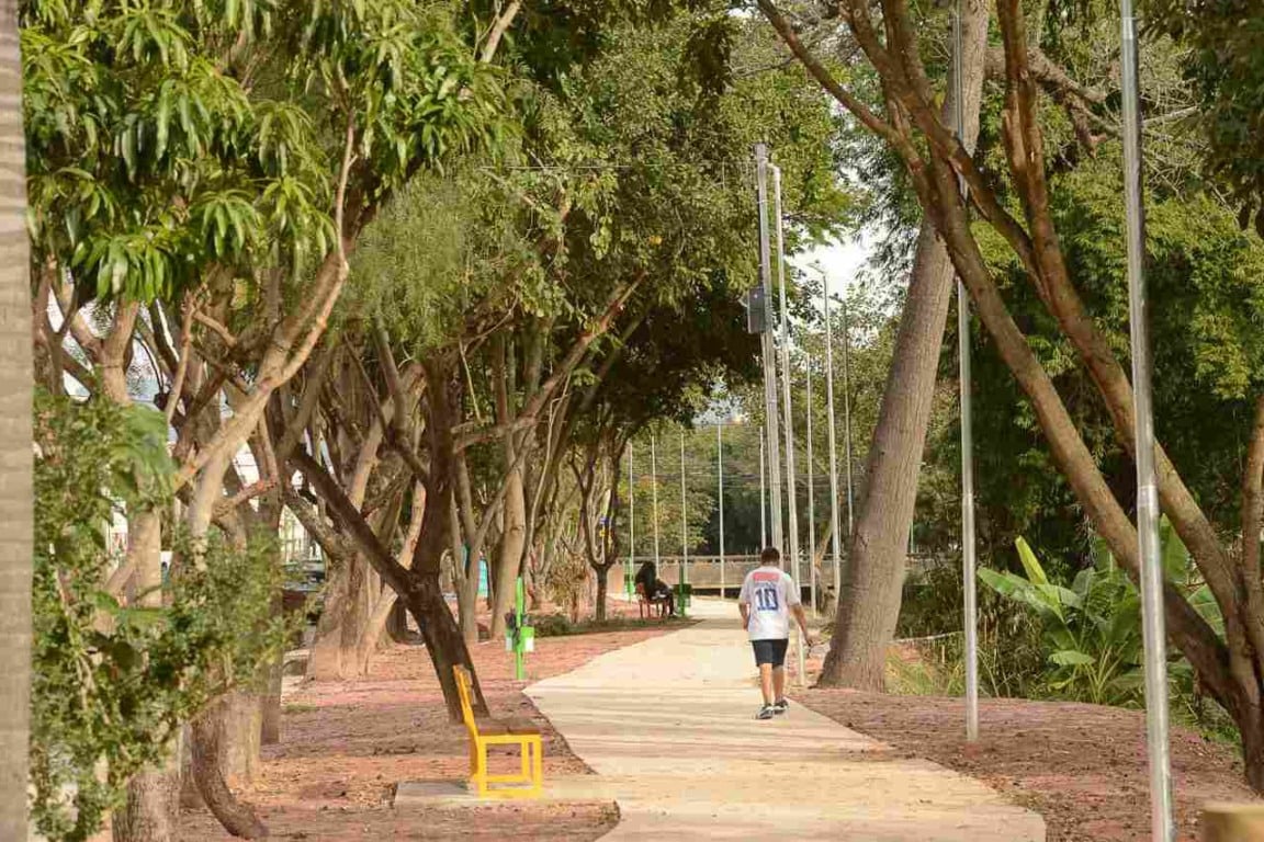 Obras finais no Parque Linear