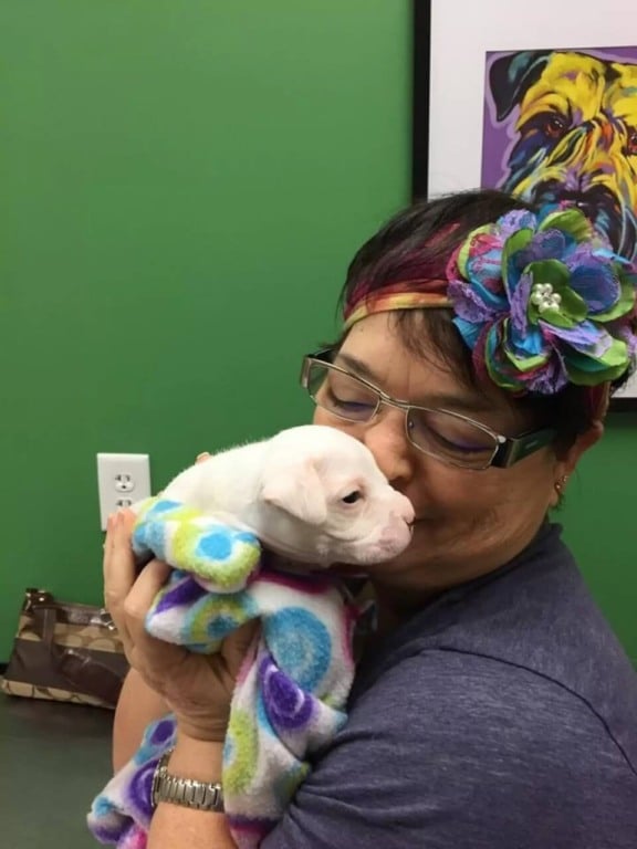 Mulher abraçando filhote de cachorro