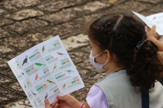 Observação de Aves