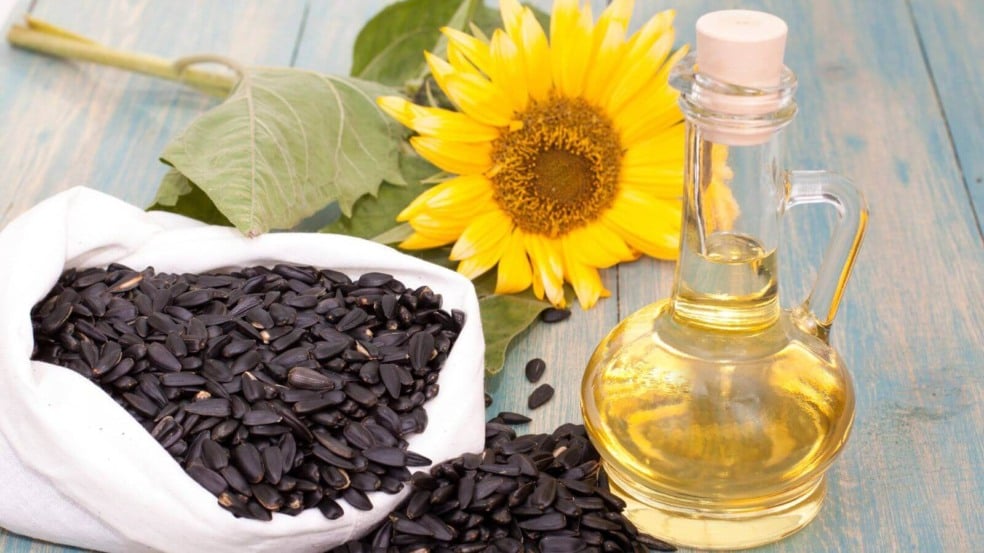 Sementes e óleo de girassol