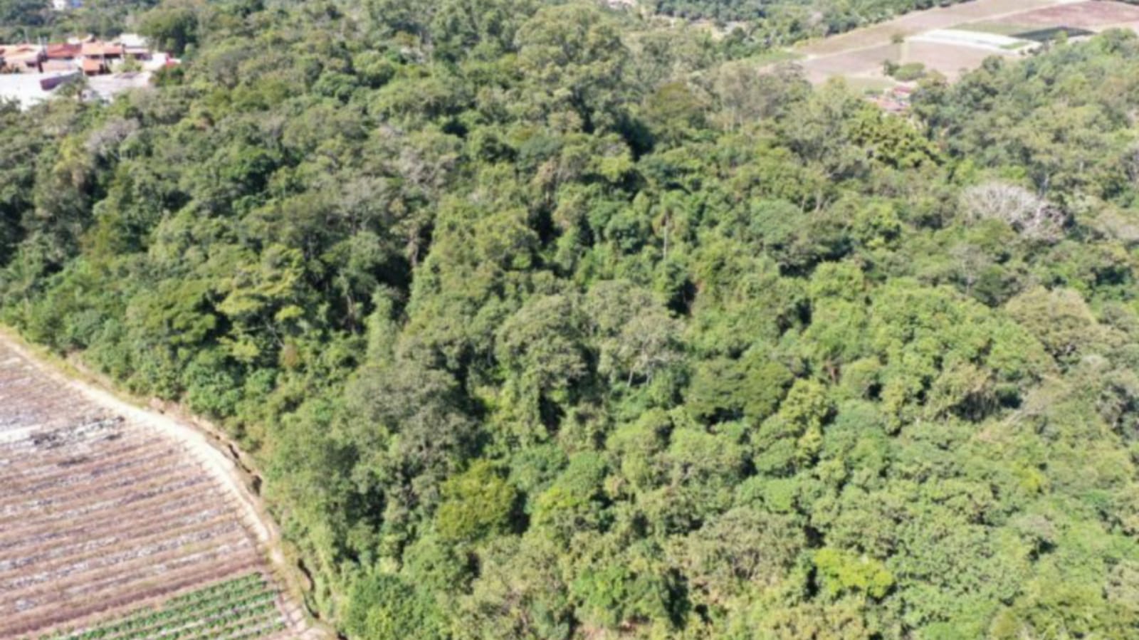 pagamento-por-servicos-ambientais-psa-jundiai