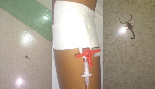 Pai de paciente registra escorpião na enfermaria infantil do Hospital Paulo Sacramento