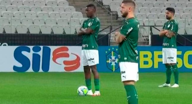 Palmeiras. (Foto: Reprodução)