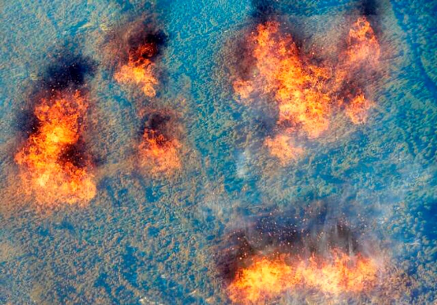 Fogo no Pantanal. (Foto: iStock)