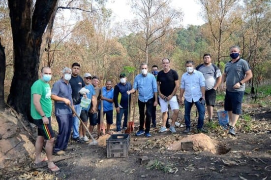 Plantio de arvores em Várzea Paulista