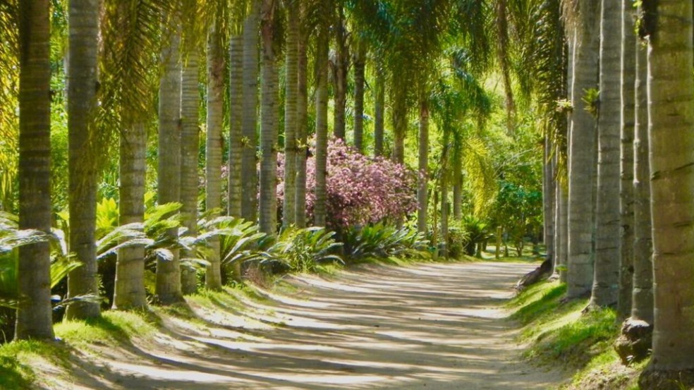 Parque Guacuri: um paraíso guardado em Itupeva completa 64 anos Parque Guacuri: um paraíso guardado em Itupeva completa 64 anos
