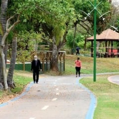 10 atrações para curtir no Parque da Cidade