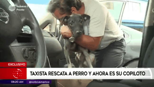 Foto: Reprodução / ED Edición Dominical