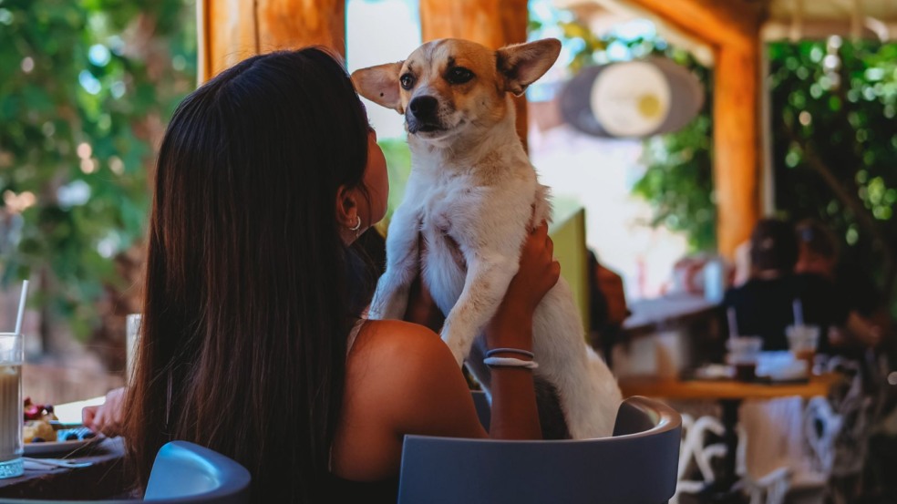 Mulher com cachorro em restaurante