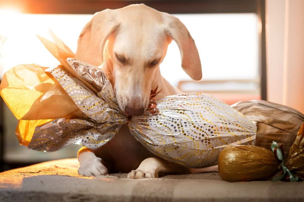 Foto: Canva Foto: Canva