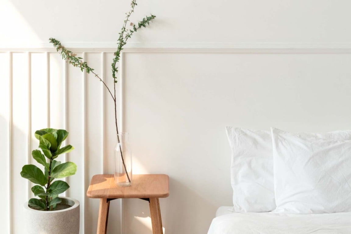 plantas-no-quarto