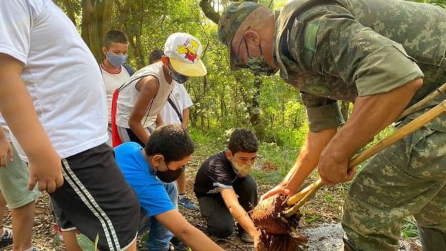 Prefeitura de Várzea Paulista realiza plantio no Parque Chico Mendes
