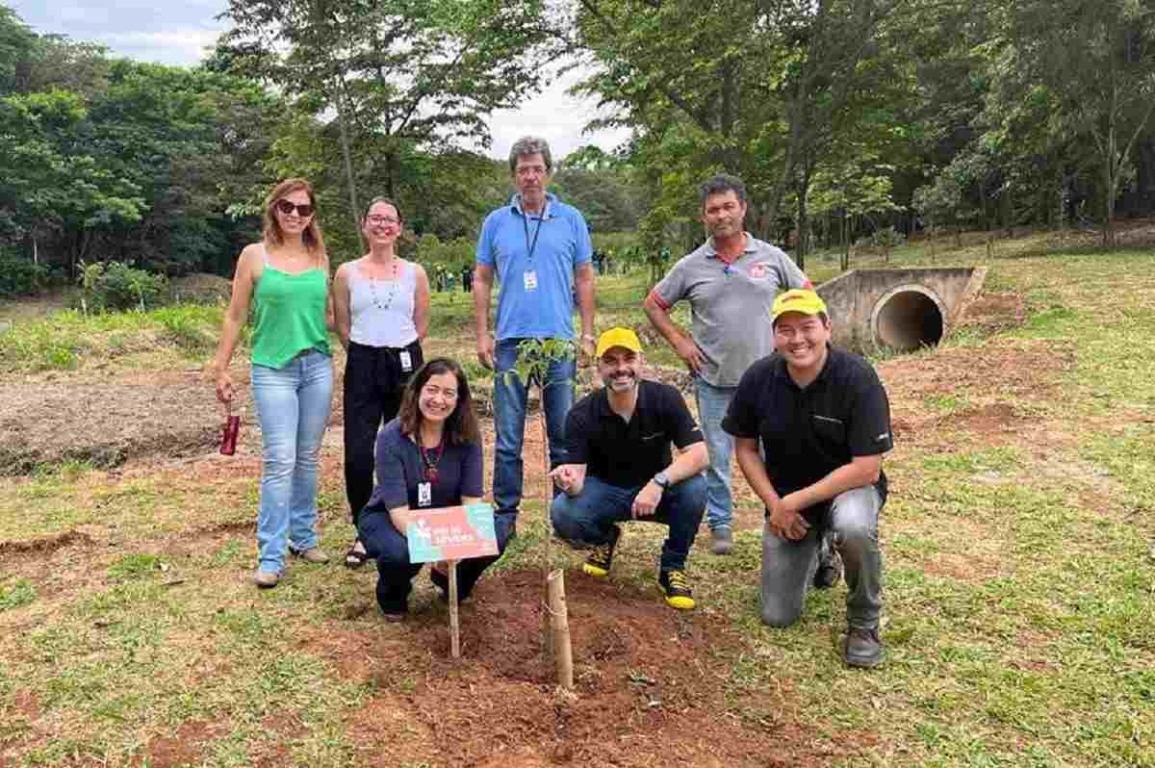 plantio-programa-pé-de-arvore-compressed
