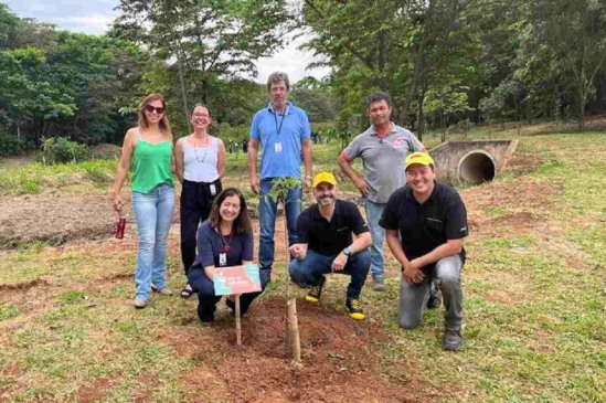 plantio-programa-pé-de-arvore-compressed