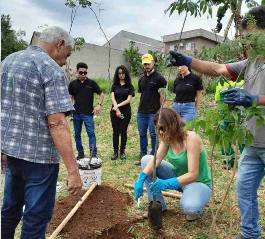 plantio-programa-pé-de-arvore2-compressed-compressed (1)