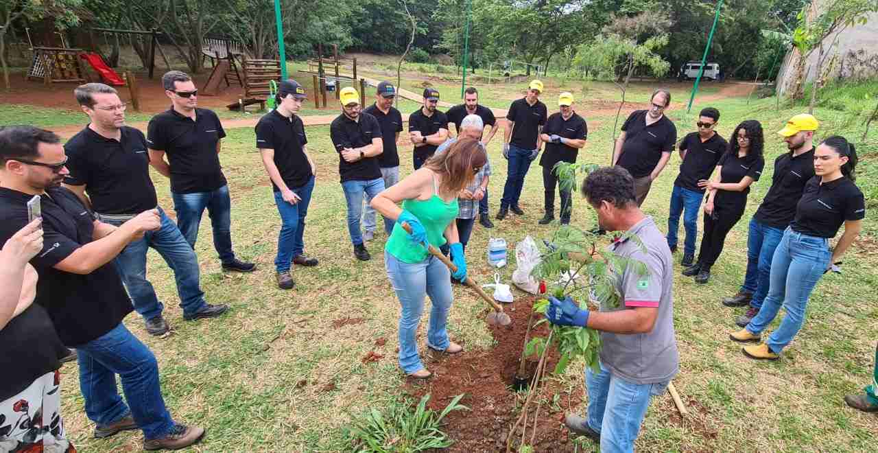 plantio-programa-pé-de-arvore3-compressed