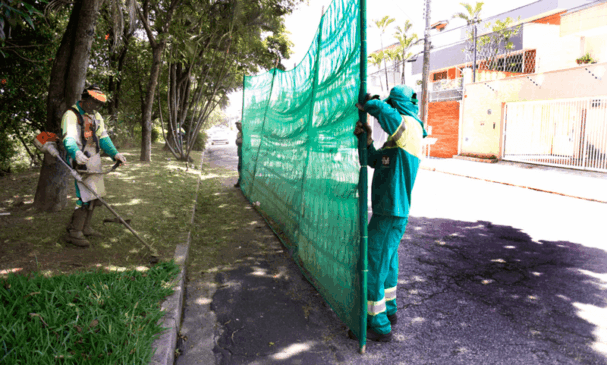 Equipes cortam mato em rua