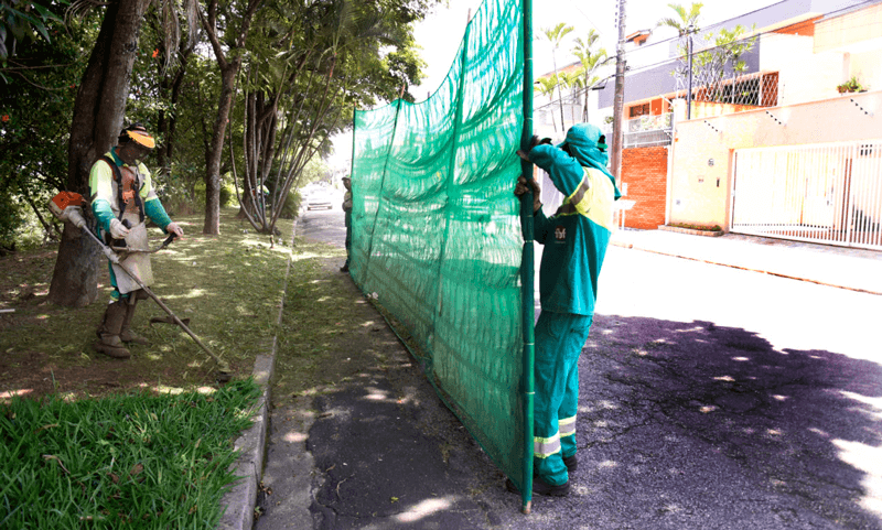 Equipes cortam mato em rua