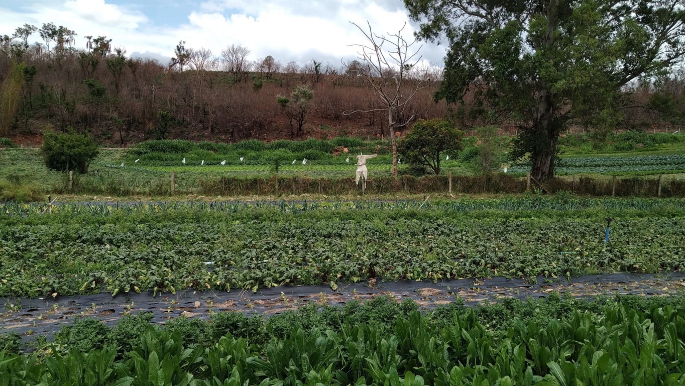 Sesc Jundiaí apresenta o podcast ‘Outros (En)cantos’ neste domingo (19)