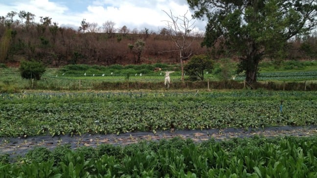 Sesc Jundiaí apresenta o podcast ‘Outros (En)cantos’ neste domingo (19)