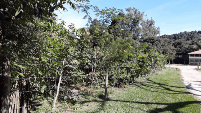 Jundiaí: Inscrições para o PSA são prorrogadas até julho