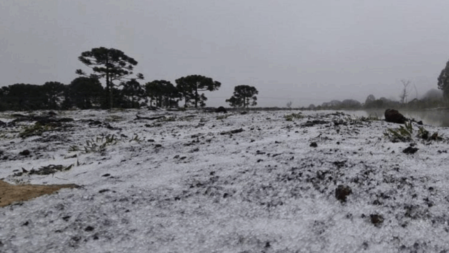 Serra Catarinense tem registro de neve nesta segunda-feira (28)