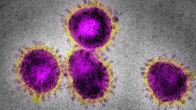 Foto: Divulgação/Metrópoles