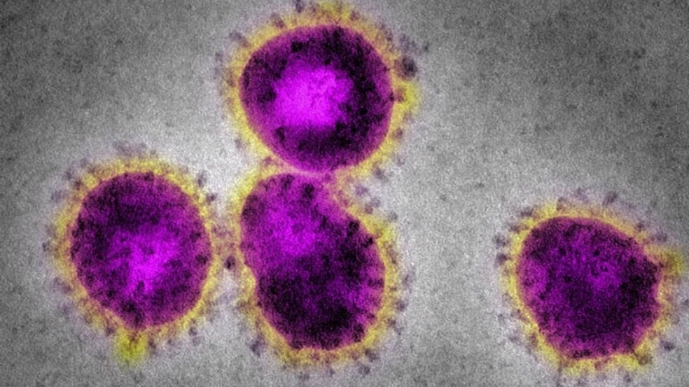 Foto: Divulgação/Metrópoles