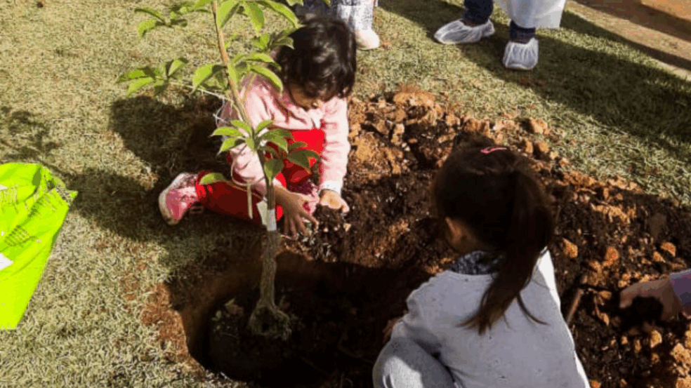 Alunos da EMEB Edward Aleixo, de Jundiaí, fazem de plantio de árvores Alunos da EMEB Edward Aleixo, de Jundiaí, fazem de plantio de árvores