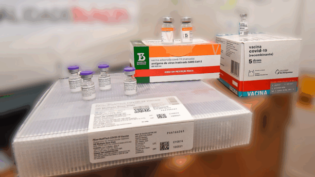 Vacinas aprovadas pela Anvisa contra a Covid-29 são eficazes