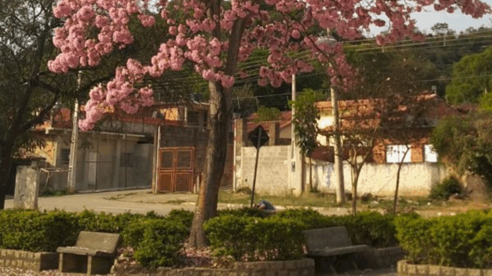 Foto: Divulgação/PMC