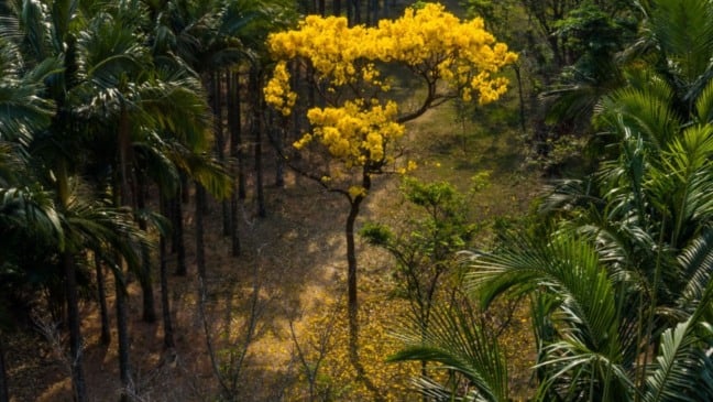 Foto: Prefeitura de Jundiaí