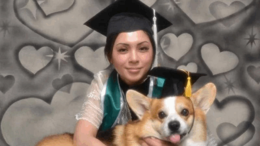 Foto: Divulgação/Amee Nepomuceno