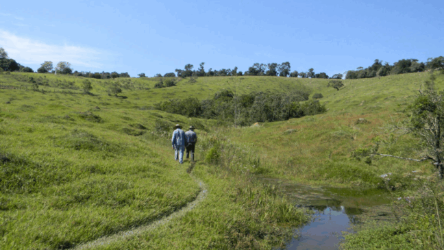 Programa Nascentes Jundiaí