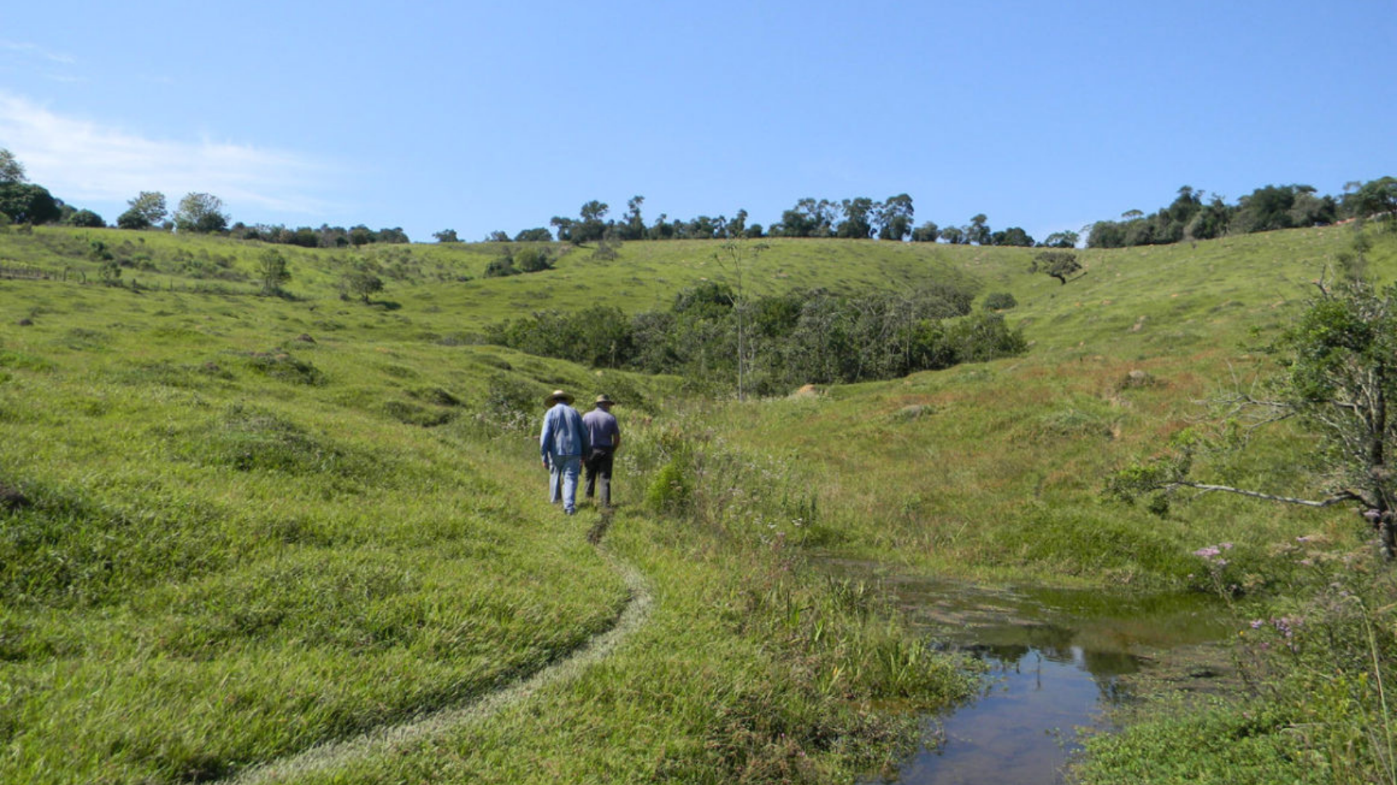 Programa Nascentes Jundiaí