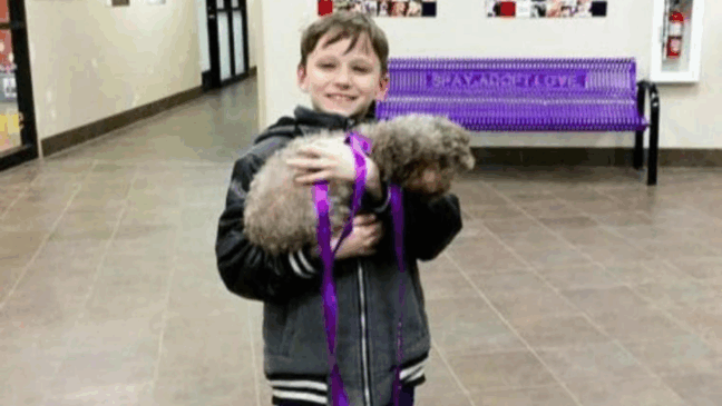 Foto: Divulgação/zoorprendente