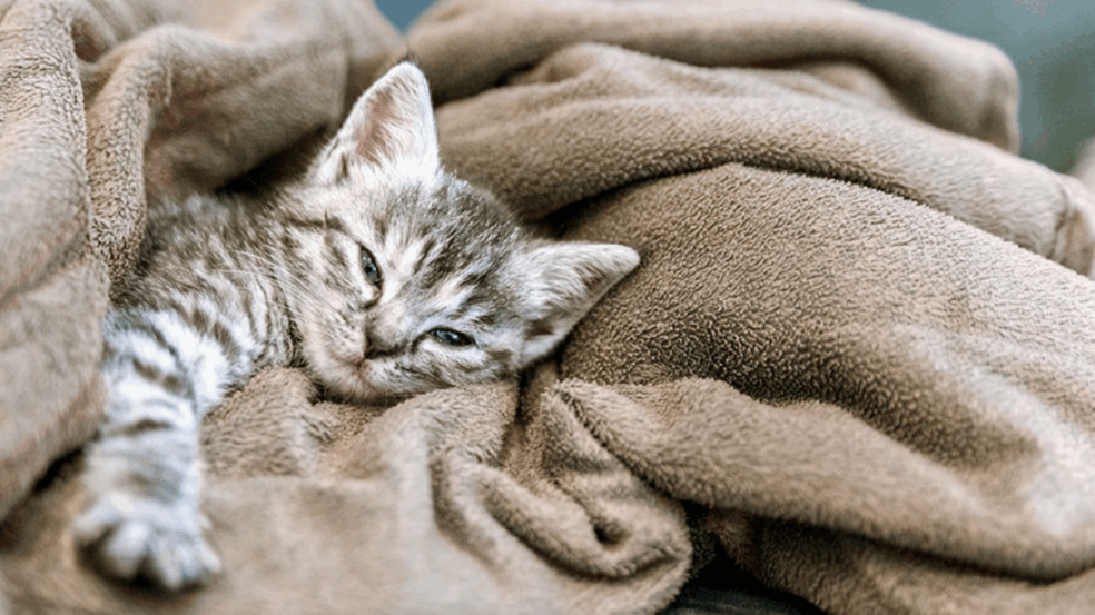 Foto: detailblick/Envato Elements